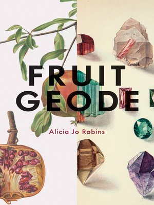 cover image of Fruit Geode